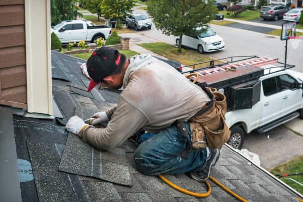 Professional Gutter Repair And Installation technician working in La Follette, TN